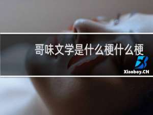 哥味文学是什么梗什么梗