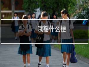 哦豁什么梗？什么梗