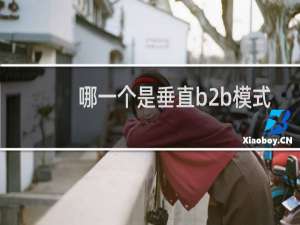 哪一个是垂直b2b模式