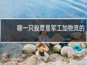 哪一只股票是军工加物流的