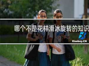 哪个不是花样滑冰旋转的知识