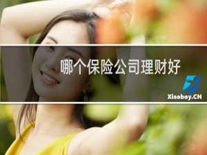哪个保险公司理财好