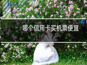哪个信用卡买机票便宜