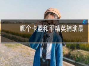 哪个卡盟和平精英辅助最低价最全?