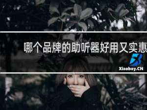 哪个品牌的助听器好用又实惠