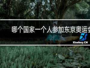 哪个国家一个人参加东京奥运会