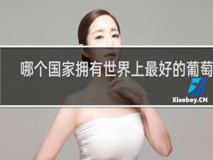 哪个国家拥有世界上最好的葡萄酒