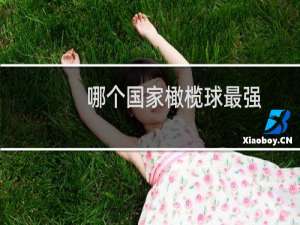 哪个国家橄榄球最强