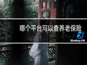 哪个平台可以查养老保险