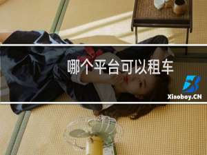 哪个平台可以租车