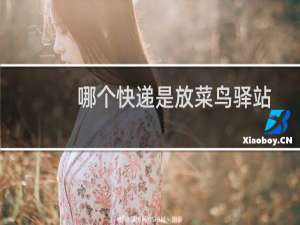 哪个快递是放菜鸟驿站