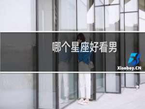 哪个星座好看男