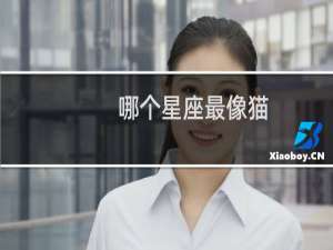哪个星座最像猫