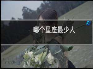 哪个星座最少人