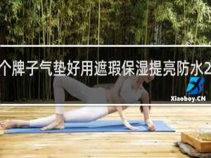 哪个牌子气垫好用遮瑕保湿提亮防水 谁用过