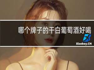 哪个牌子的干白葡萄酒好喝