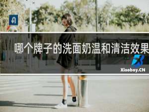 哪个牌子的洗面奶温和清洁效果好