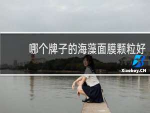 哪个牌子的海藻面膜颗粒好