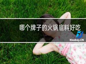 哪个牌子的火锅底料好吃