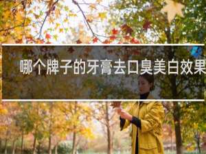 哪个牌子的牙膏去口臭美白效果好