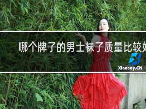 哪个牌子的男士袜子质量比较好