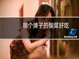 哪个牌子的酸菜好吃
