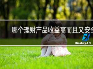 哪个理财产品收益高而且又安全