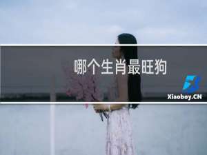 哪个生肖最旺狗