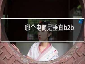 哪个电商是垂直b2b