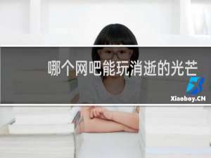 哪个网吧能玩消逝的光芒