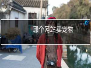 哪个网站卖宠物