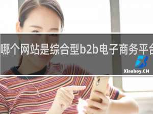哪个网站是综合型b2b电子商务平台网站