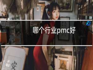 哪个行业pmc好