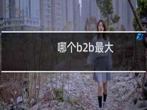 哪个b2b最大