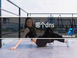 哪个dns