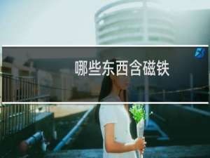 哪些东西含磁铁