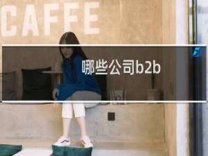 哪些公司b2b