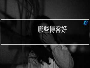 哪些博客好