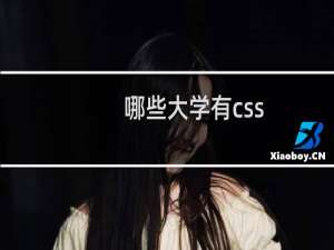 哪些大学有css