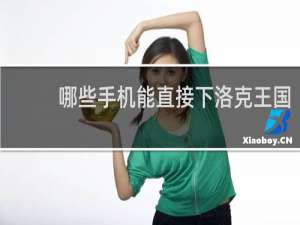 哪些手机能直接下洛克王国