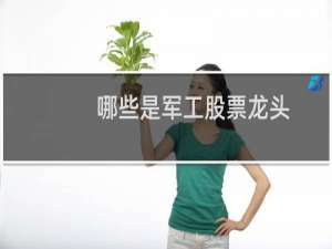 哪些是军工股票龙头