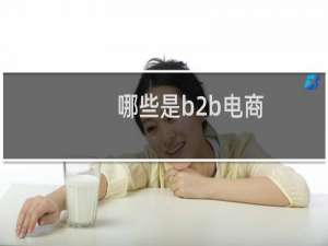哪些是b2b电商