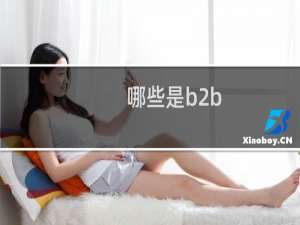 哪些是b2b