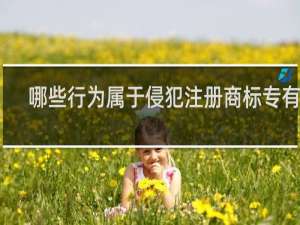 哪些行为属于侵犯注册商标专有权