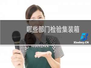 哪些部门检验集装箱