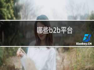 哪些b2b平台