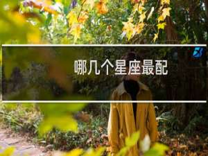 哪几个星座最配