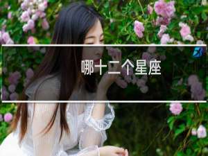 哪十二个星座