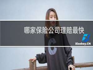 哪家保险公司理赔最快