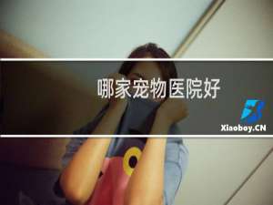 哪家宠物医院好